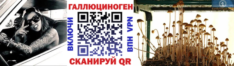 mega ссылка  Кизел  Псилоцибиновые грибы мухоморы 
